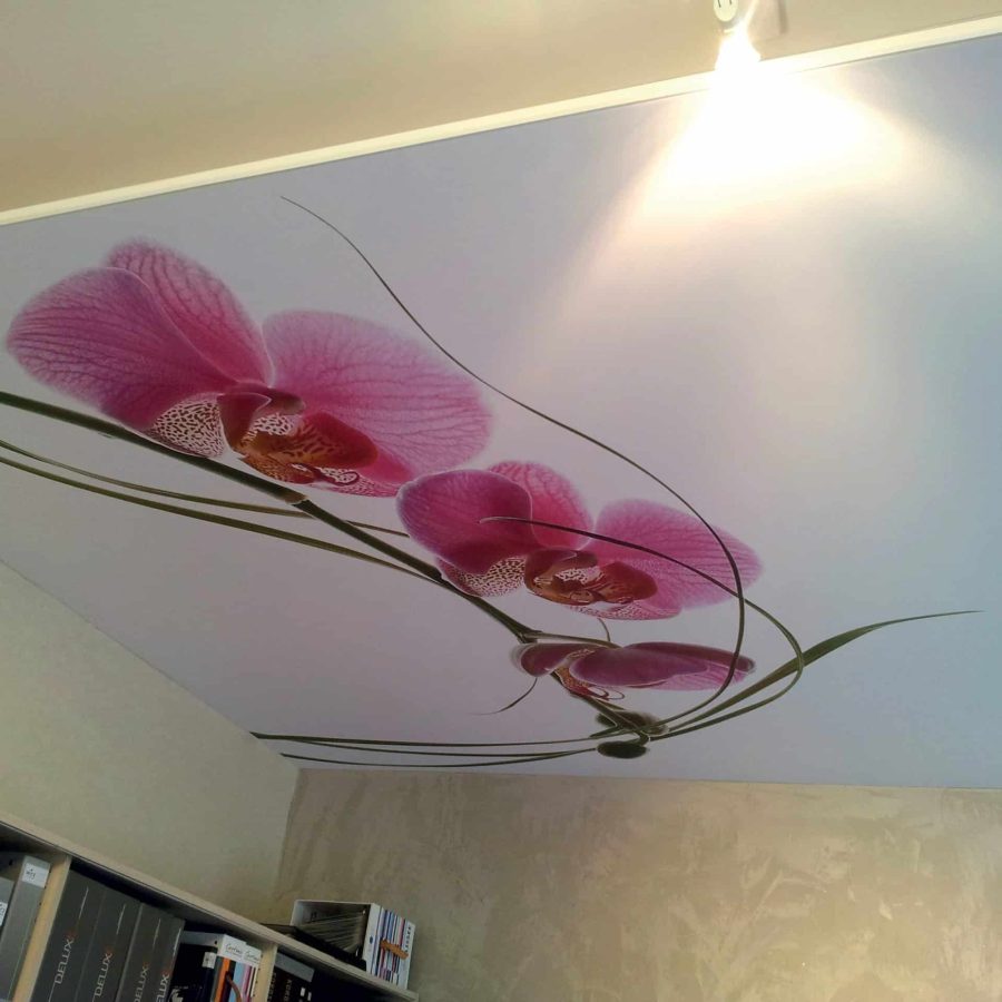 photo d'un cadre décoration avec le visuel d'une orchidée, fixé au plafond